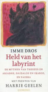 Cover van boek Held van het labyrint