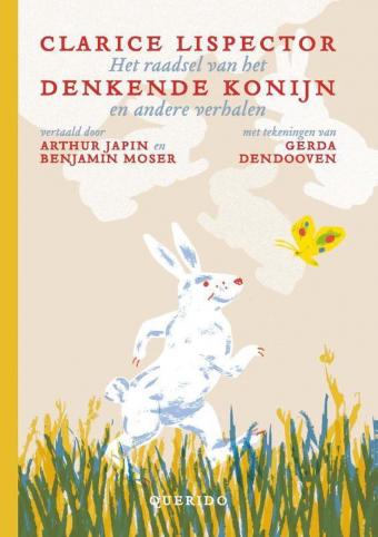 Cover van boek Het raadsel van het denkende konijn en andere verhalen