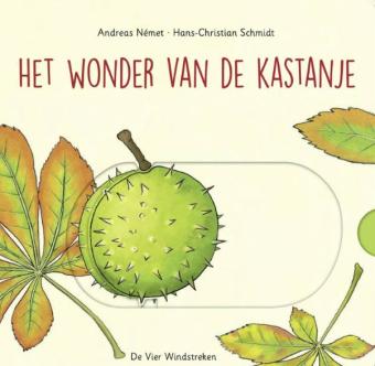 Cover van boek Het wonder van de kastanje