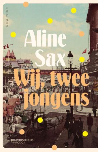 Cover van boek Wij, twee jongens