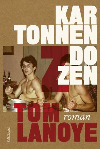Cover van boek Kartonnen dozen