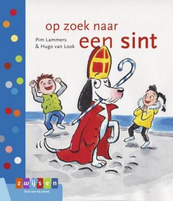 Cover van boek Op zoek naar een sint