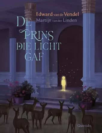 Cover van boek De prins die licht gaf