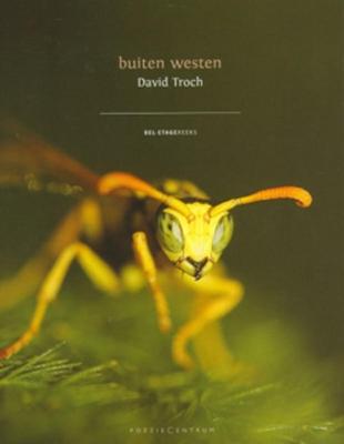 Cover van boek Buiten westen