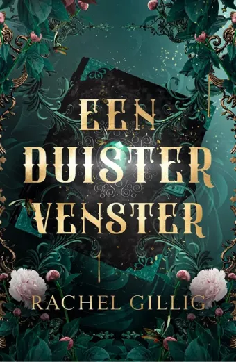 Cover van boek Een duister venster