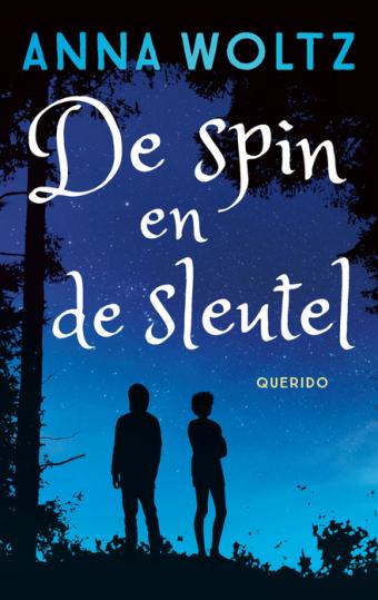 Cover van boek De spin en de sleutel