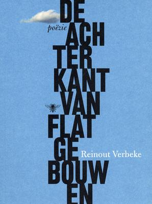 Cover van boek De achterkant van flatgebouwen