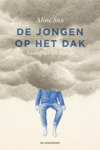 Cover van boek De jongen op het dak