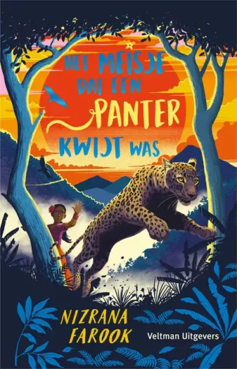 Cover van boek Het meisje dat een panter kwijt was