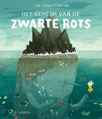 Cover van boek Het geheim van de Zwarte Rots 