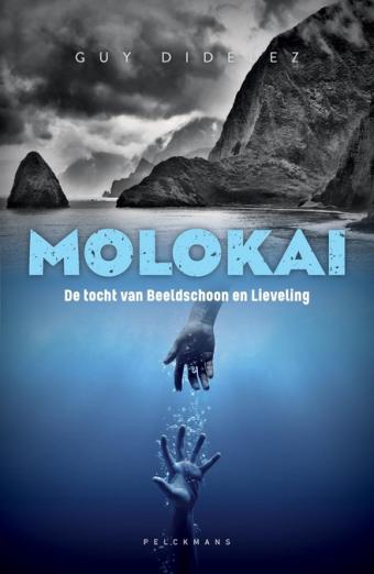Cover van boek De tocht van Beeldschoon en Lieveling
