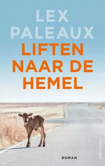 Cover van boek Liften naar de hemel