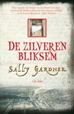 Cover van boek De zilveren bliksem