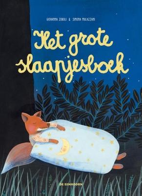 Cover van boek Het grote slaapjesboek