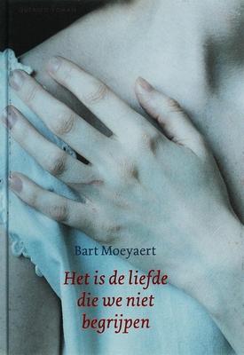 Cover van boek Het is de liefde die we niet begrijpen