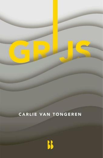 Cover van boek Grijs