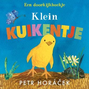 Cover van boek Klein kuikentje : een doorkijkboekje 