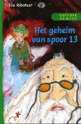 Cover van boek Het geheim van spoor 13
