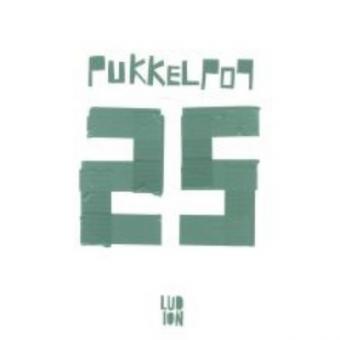 Cover van boek Pukkelpop 25