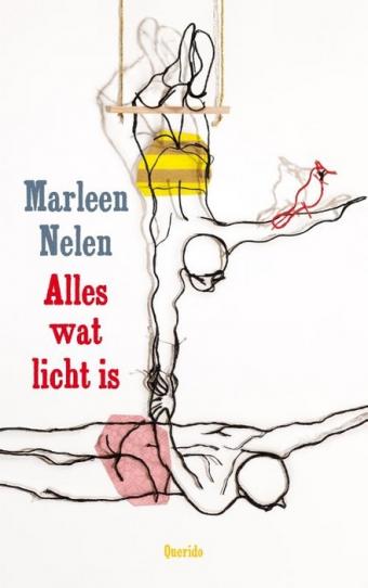 Cover van boek Alles wat licht is