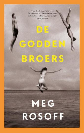 Cover van boek De Godden broers