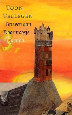 Cover van boek Brieven aan Doornroosje