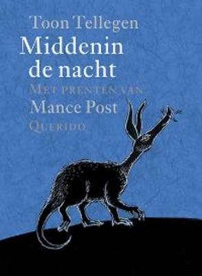 Cover van boek Middenin de nacht