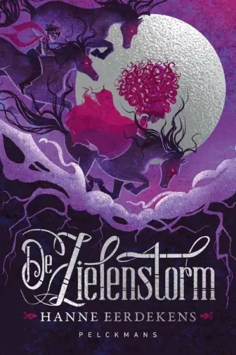 Cover van boek De zielenstorm