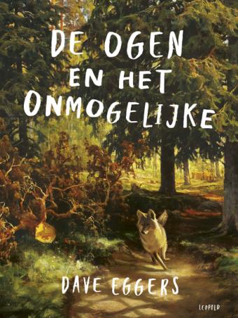 Cover van boek De ogen en het onmogelijke