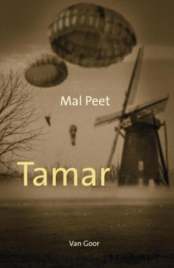 Cover van boek Tamar