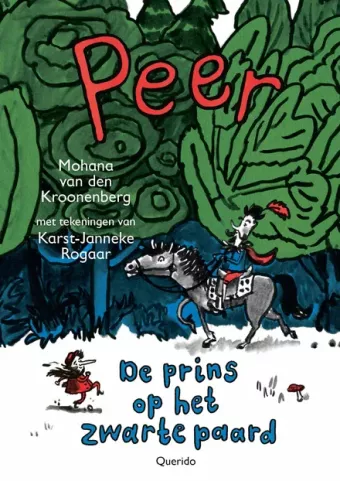 Cover van boek De prins op het zwarte paard