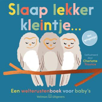 Cover van boek Slaap lekker kleintje...