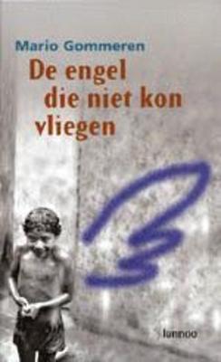 Cover van boek De engel die niet kon vliegen