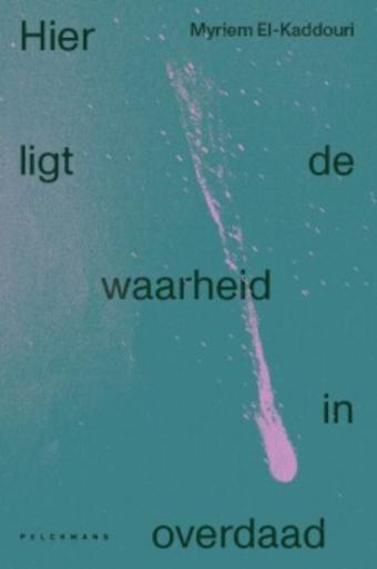 Cover van boek Hier ligt de waarheid in overdaad