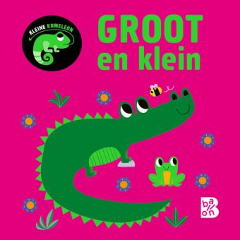 Cover van boek Kleine kameleon: groot en klein