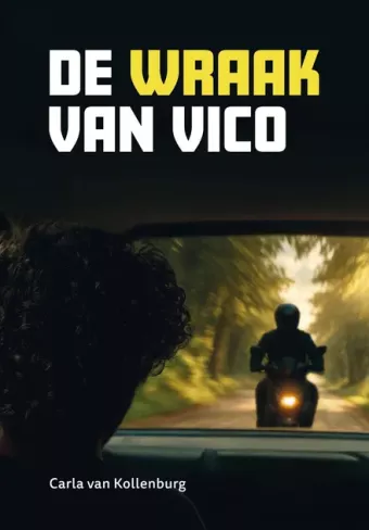 Cover van boek De wraak van Vico