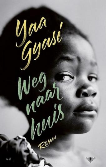 Cover van boek Weg naar huis