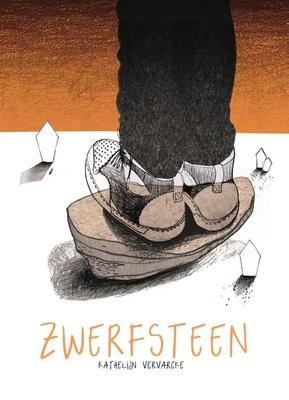 Cover van boek Zwerfsteen