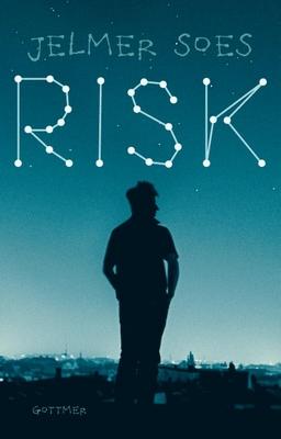 Cover van boek Risk