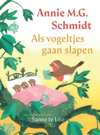 Cover van boek Als vogeltjes gaan slapen